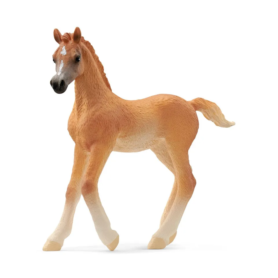 Schleich Horse Club Puledro Arabo cavallo 13984