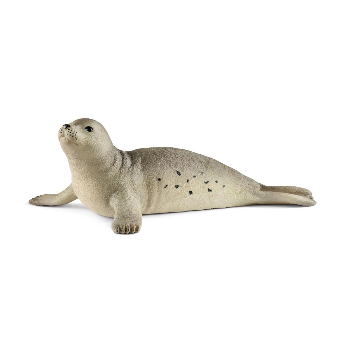 Schleich Wild Life Foca figura animale bundle foca comune