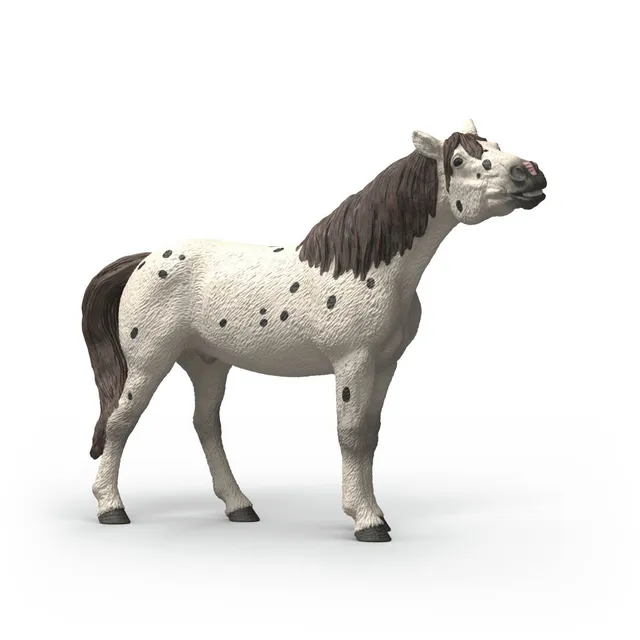 Schleich HORSE CLUB Castrone Knabstrupper cavallo giocattolo 14916