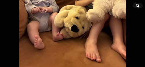 La Pelucherie Dogs Cane Hector peluche 20 cm shar-pei
