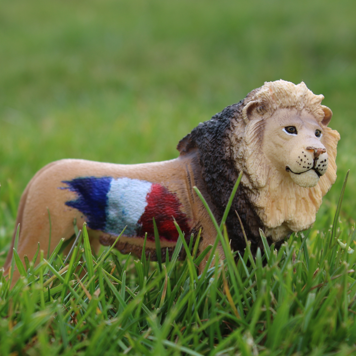 Schleich WILD LIFE Lion France action figure leone speciale