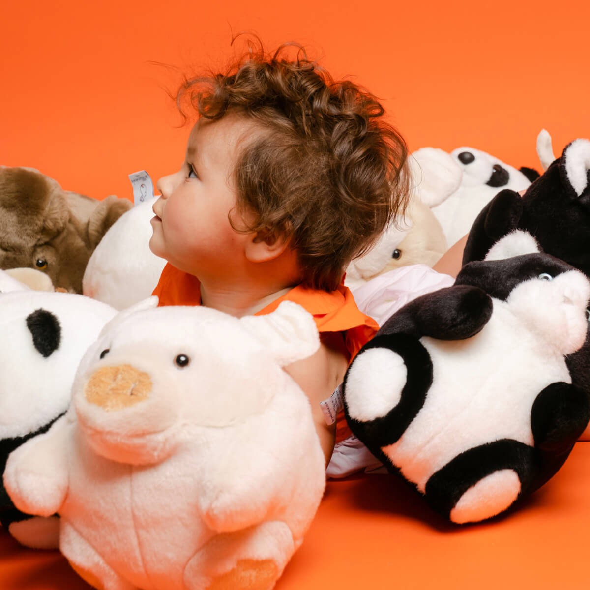 La Pelucherie Roodoodoo Chacha Gatto peluche 25cm collezione