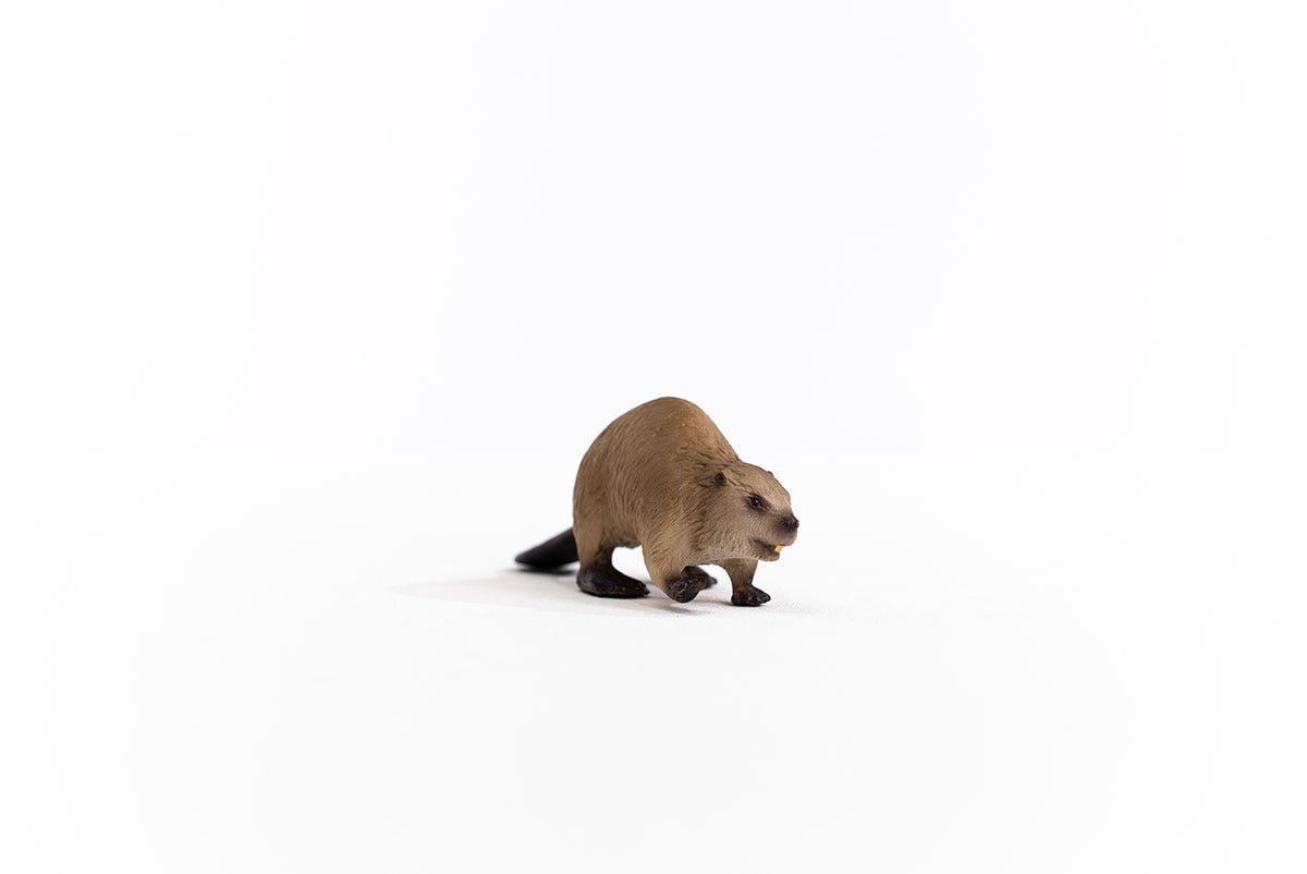 Schleich Wild Life Castoro action figure 14855 foresta