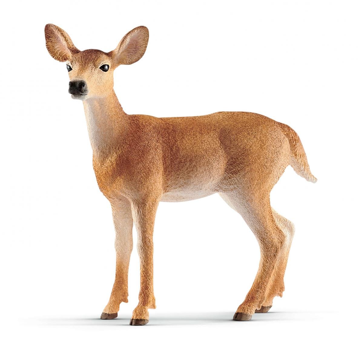 Schleich Wild Life Cerva dalla Coda Bianca 14819 Giocattolo Foresta