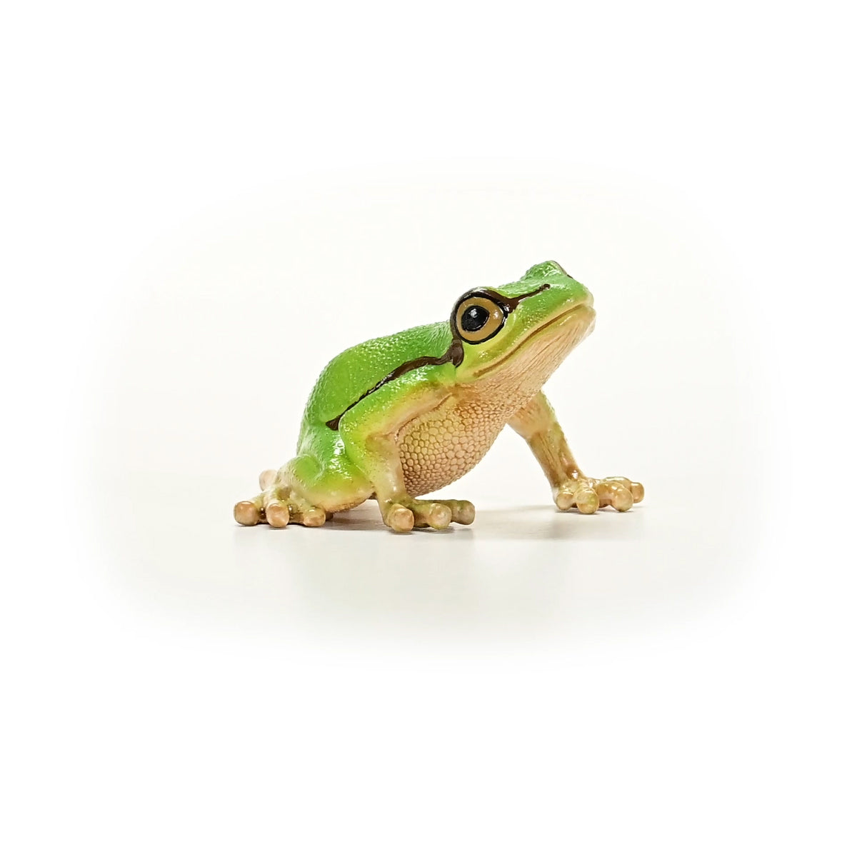 Schleich Wild Life Raganella Europea action figure rana