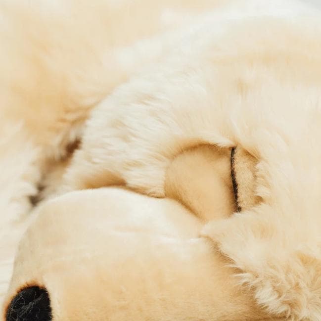 La Pelucherie Bear Lucien orsacchiotto miele Medium 65cm pelo lungo