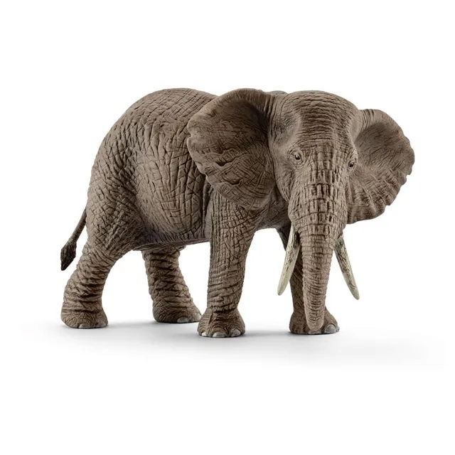 Schleich Wild Life 14761 elefante africano femmina action figure