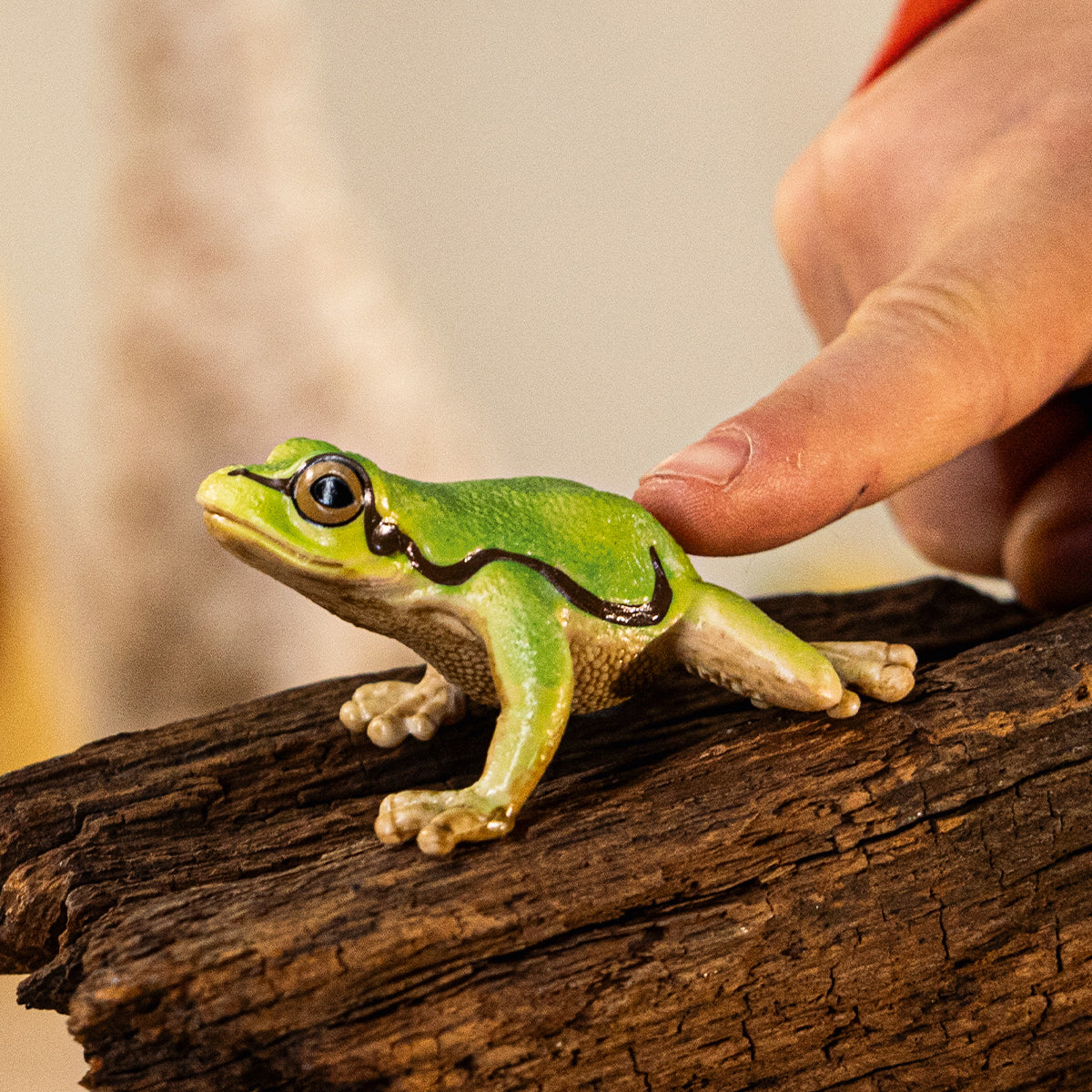 Schleich Wild Life Raganella Europea action figure rana