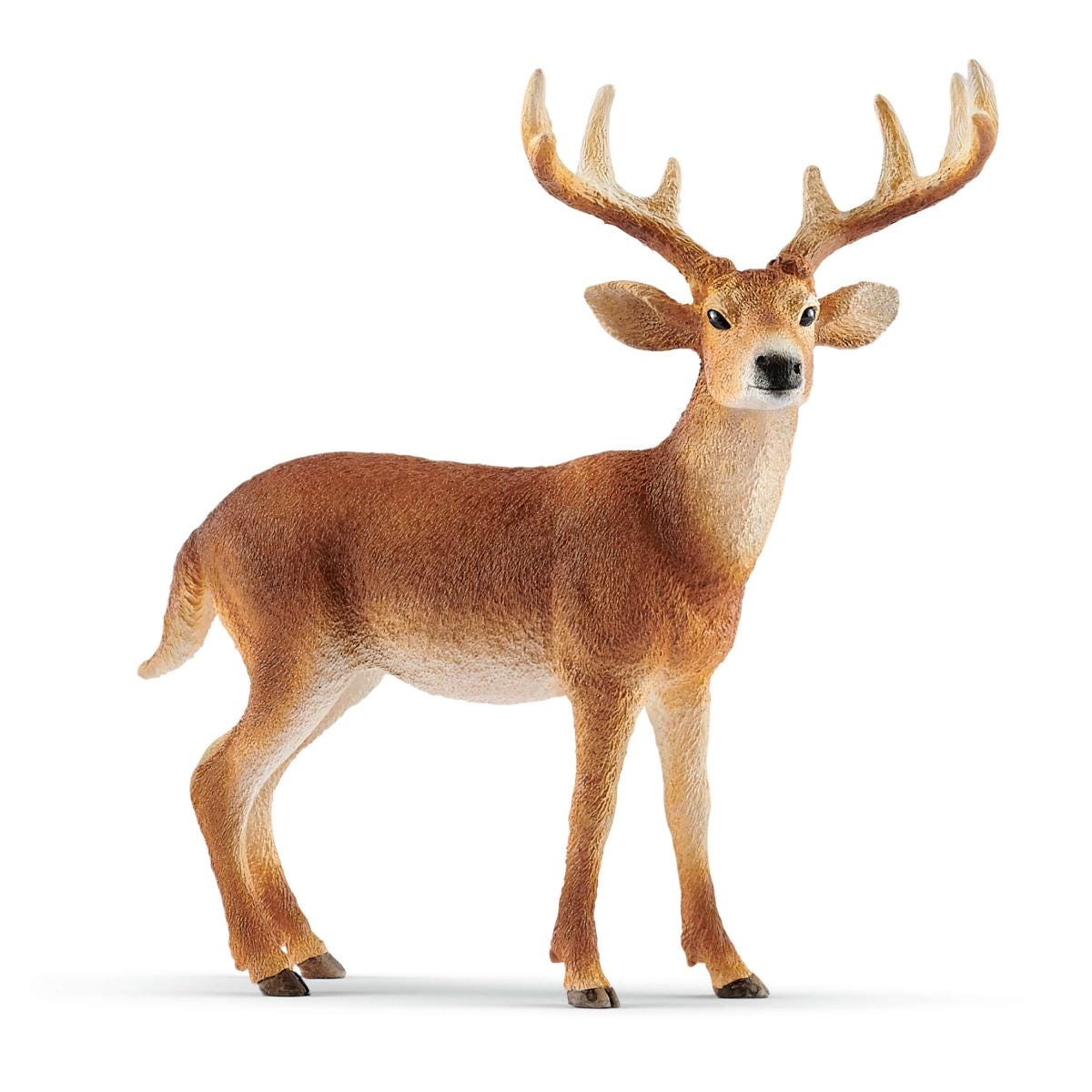 Schleich Wild Life White-tailed Buck Cervo Giocattolo Maschio