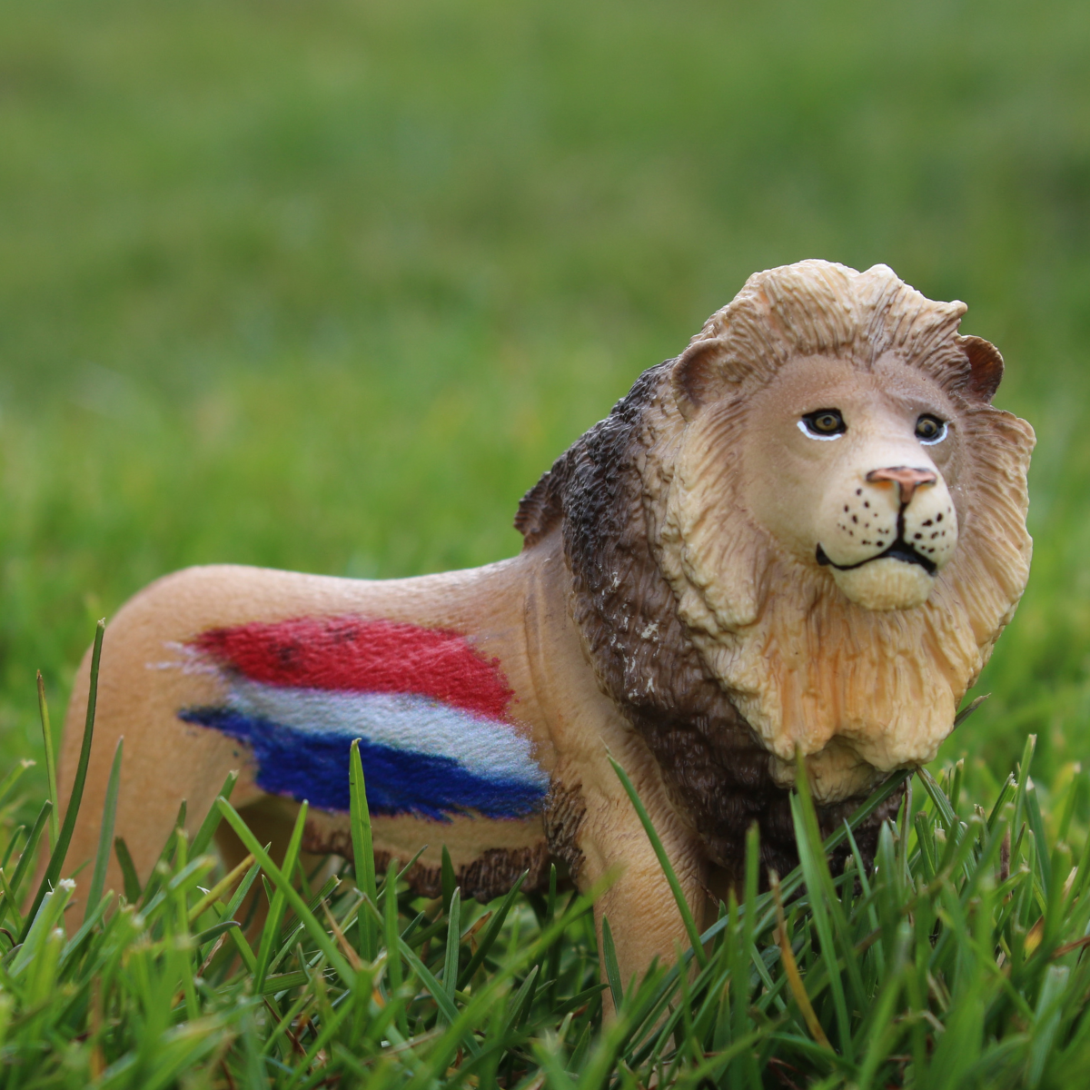 Schleich Wild Life Leone Olanda statuetta edizione speciale