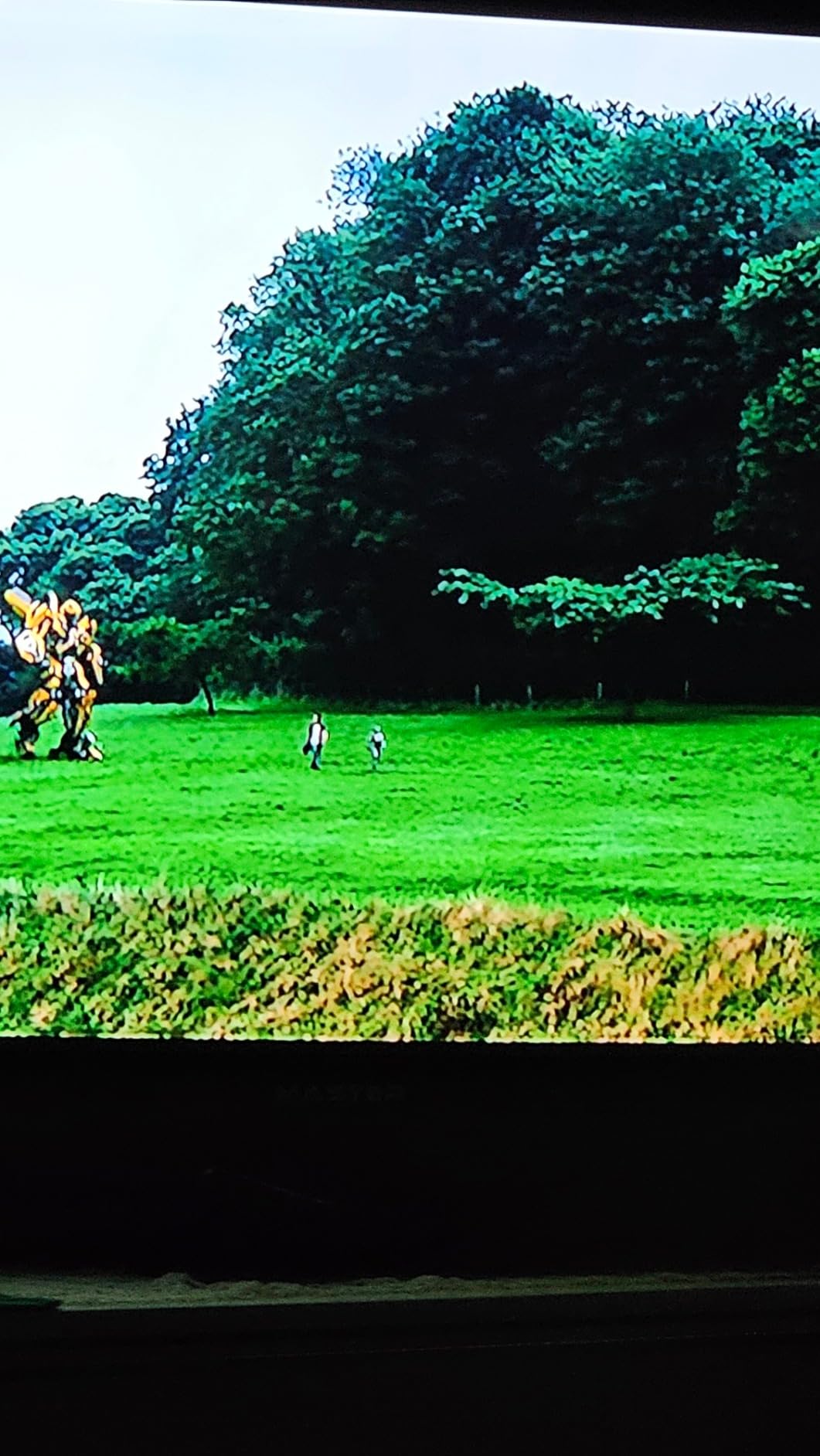 Transformers Collezione cofanetto 5 DVD saga film